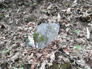 画像に含まれている可能性があるもの:木、屋外
